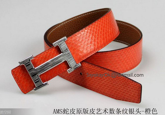 Hermes Snake Stripe Leather Reversible Belt Art Stripe Silver Bu